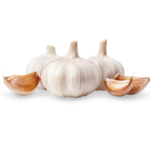 Garlic Paste
